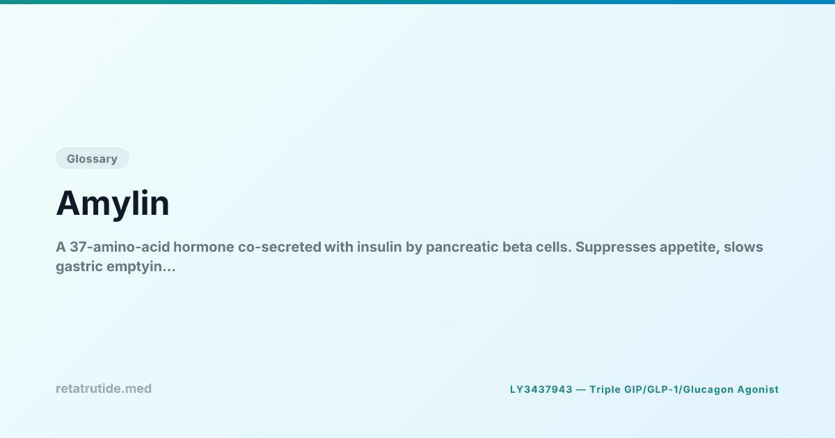 Amylin — Glossary | Retatrutide Knowledge Base